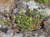 Enlarge photo 33