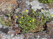 Enlarge photo 34
