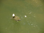 Enlarge photo 19