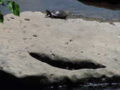 Nature Hike 158
