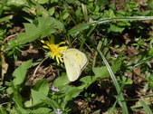 Enlarge photo 25