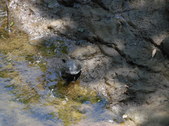 Enlarge photo 28