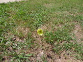 Enlarge photo 32