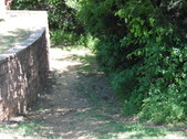 Nature Hike 159