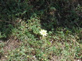 Nature Hike 160