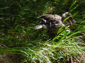 Enlarge photo 27