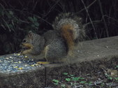 Enlarge photo 28