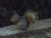 Enlarge photo 29