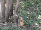 Enlarge photo 30