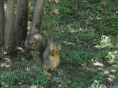 Enlarge photo 31