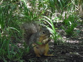 Enlarge photo 24
