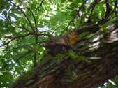 Enlarge photo 30