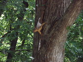 Nature Hike 163