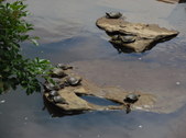 Enlarge photo 30