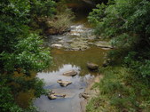 Enlarge photo 31