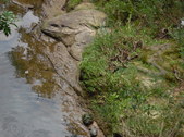 Enlarge photo 32
