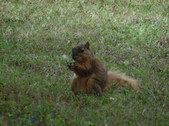 Enlarge photo 36