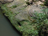 Enlarge photo 37