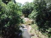 Enlarge photo 38
