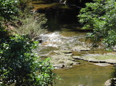 Enlarge photo 39