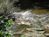 Enlarge photo 40