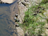 Nature Hike 165