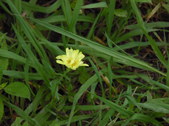 Nature Hike 166