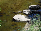Nature Hike 167