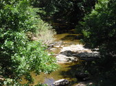 Enlarge photo 16