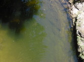 Nature Hike 168