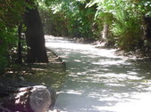 Enlarge photo 21