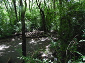 Enlarge photo 14