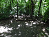 Enlarge photo 15