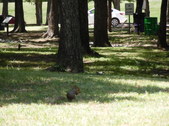 Enlarge photo 18