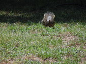 Enlarge photo 25