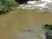 Enlarge photo 26
