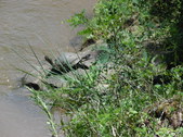 Enlarge photo 28
