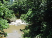 Enlarge photo 31