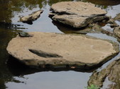 Enlarge photo 2
