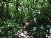 Nature Hike 172