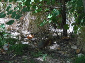 Enlarge photo 18