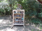 Nature Hike 173