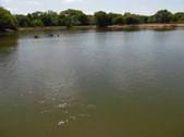 Enlarge photo 19