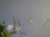 Enlarge photo 33