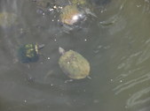 Enlarge photo 37