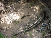 Enlarge photo 25
