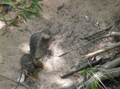Enlarge photo 26