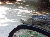 Enlarge photo 25