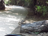 Enlarge photo 26