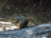 Enlarge photo 32